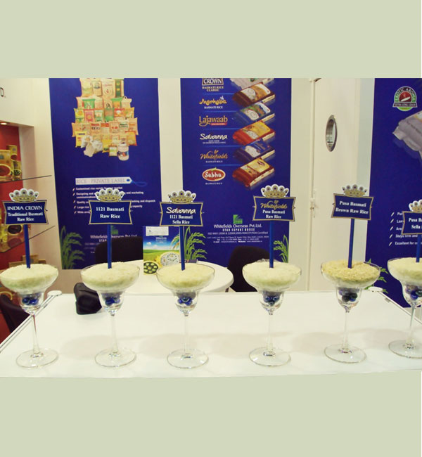 Exhibitions Image